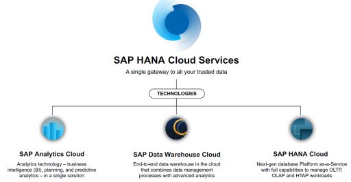 SAP HANA Cloud Services